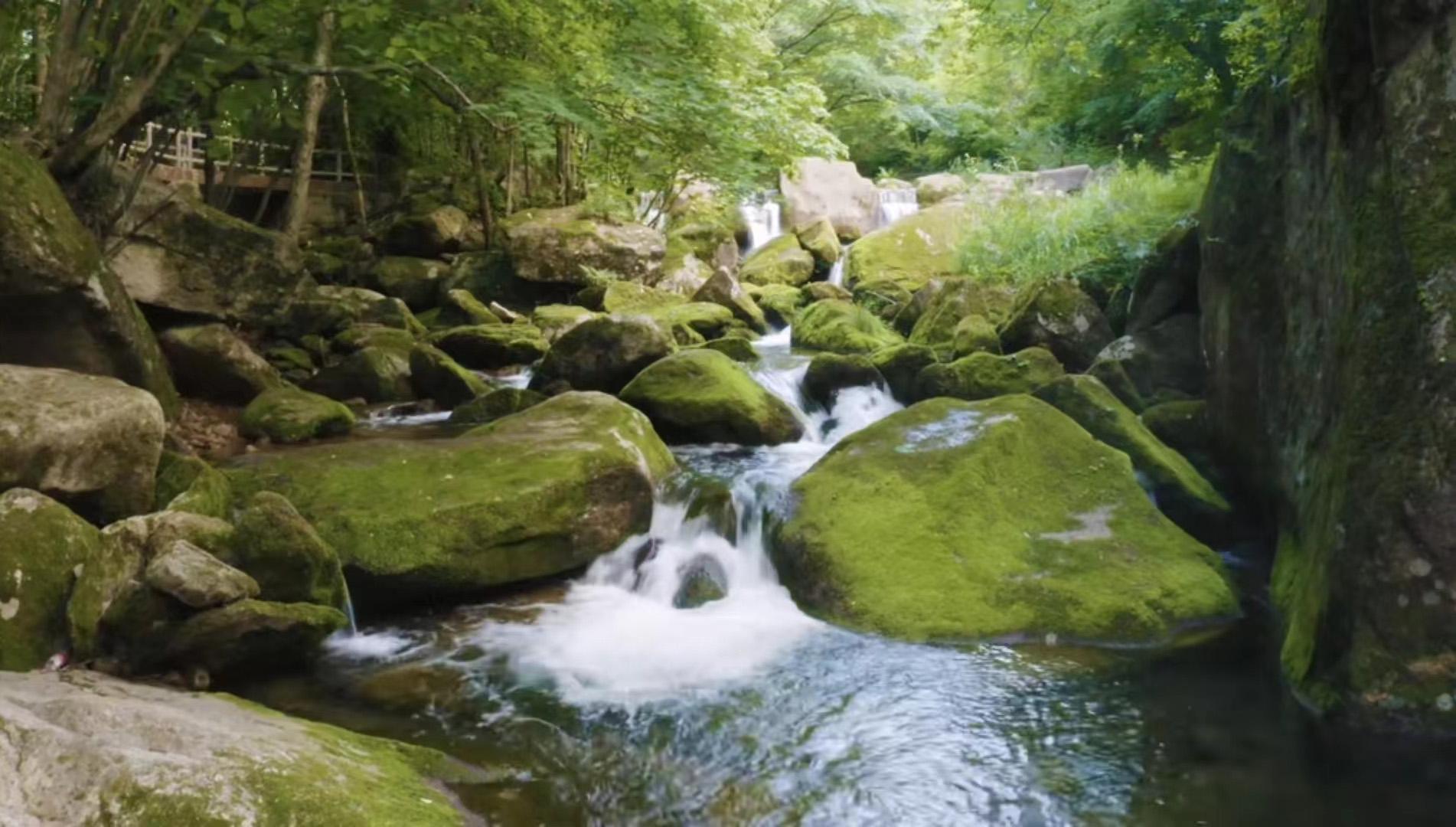 老边沟景区图片