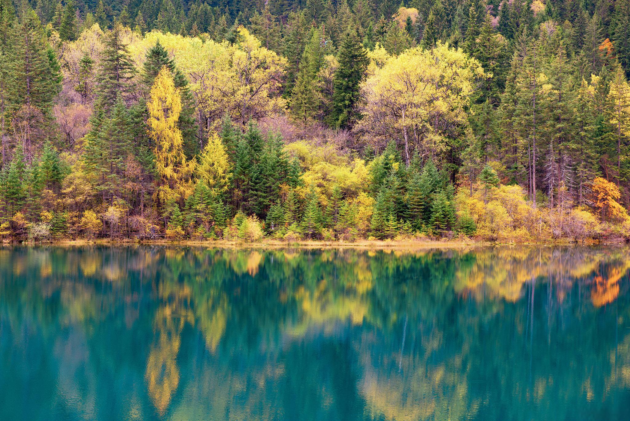 四川九寨沟黄龙五日游详细路线 在四川,时间越过山河的速度总是很慢