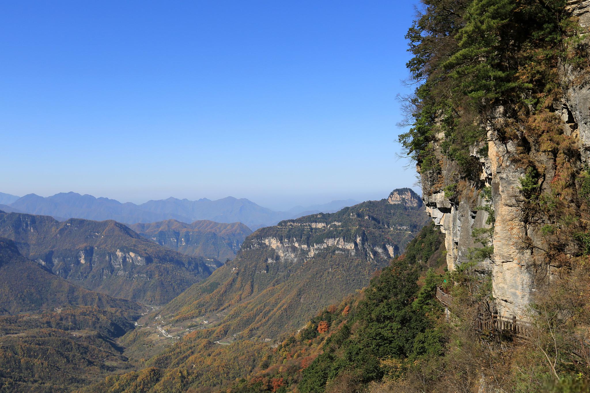 今天,让我们一同踏上一段充满秋意的旅程,前往河南省西峡县的老界岭