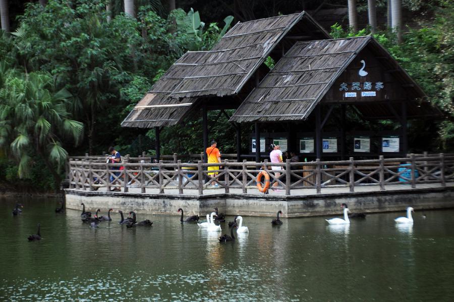 广州香江野生动物世界之旅 广州香江野生动物世界位于珠江畔,拥有丰富