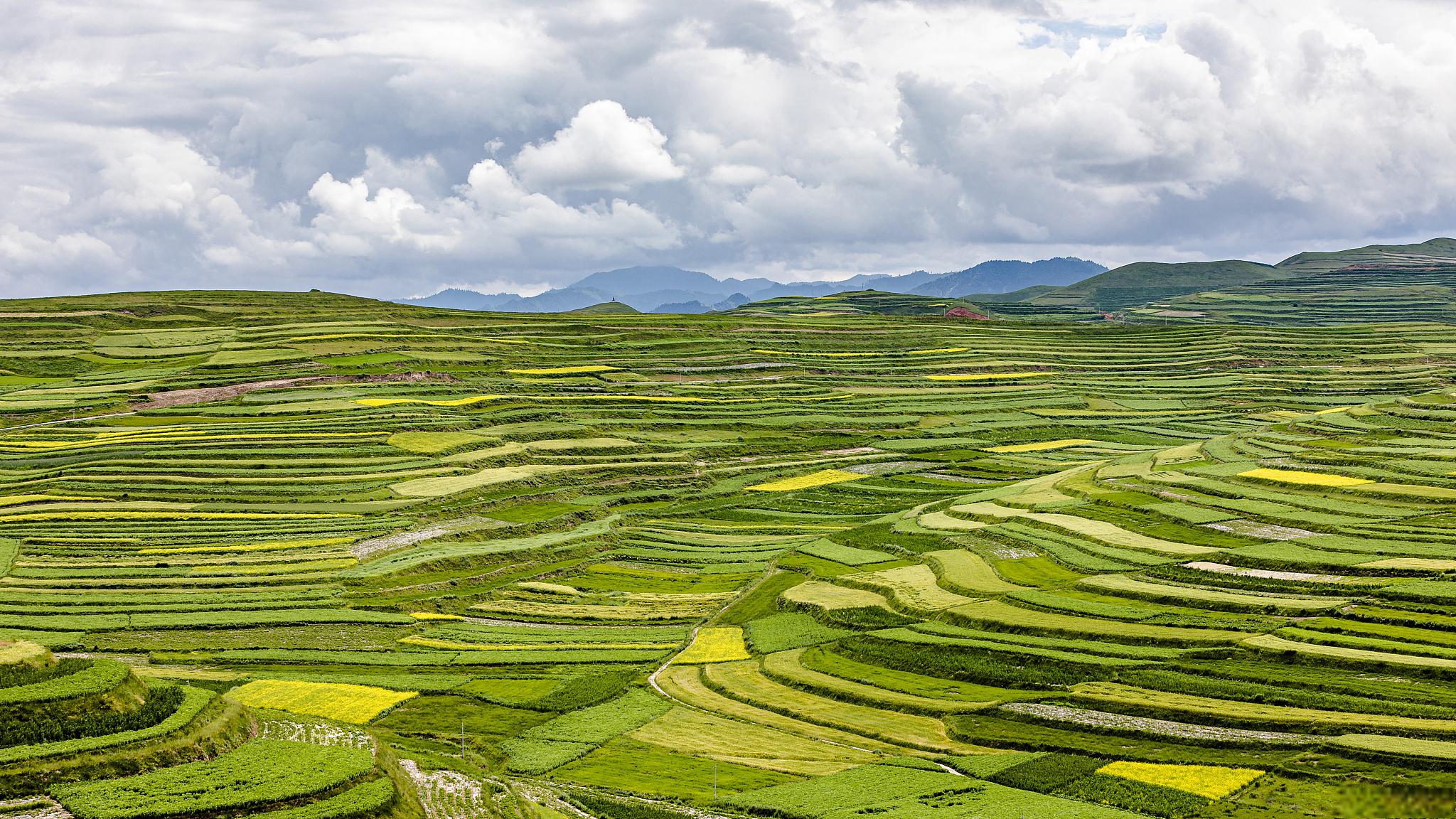 贵阳高坡一日游攻略 高坡是贵阳市区最著名的景点之一,拥有壮丽的自然