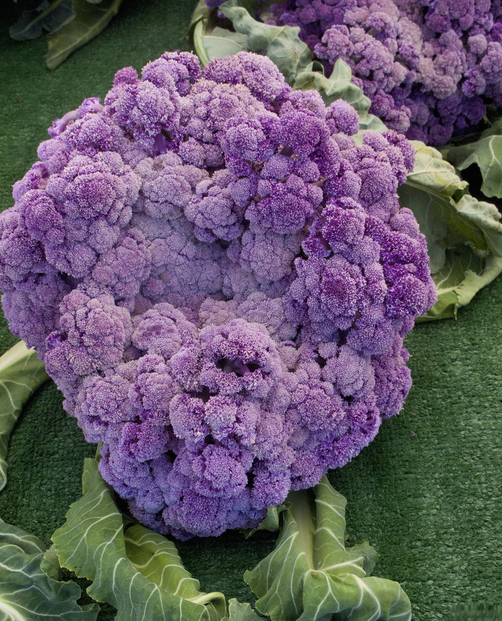 富含叶黄素的蔬菜和水果 富含叶黄素的蔬菜和水果是我们在日常饮食中