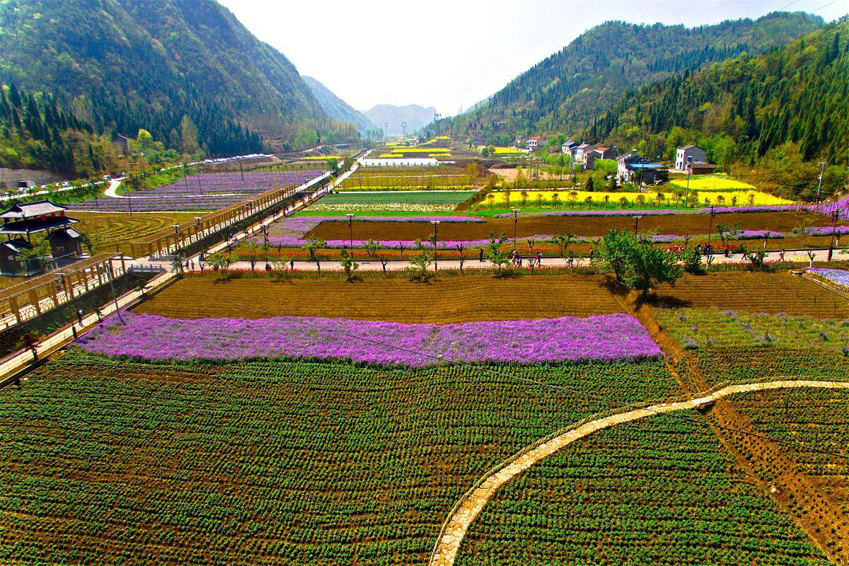 诸暨春风十里小镇好在哪里 诸暨春风十里小镇是一个充满活力和自然