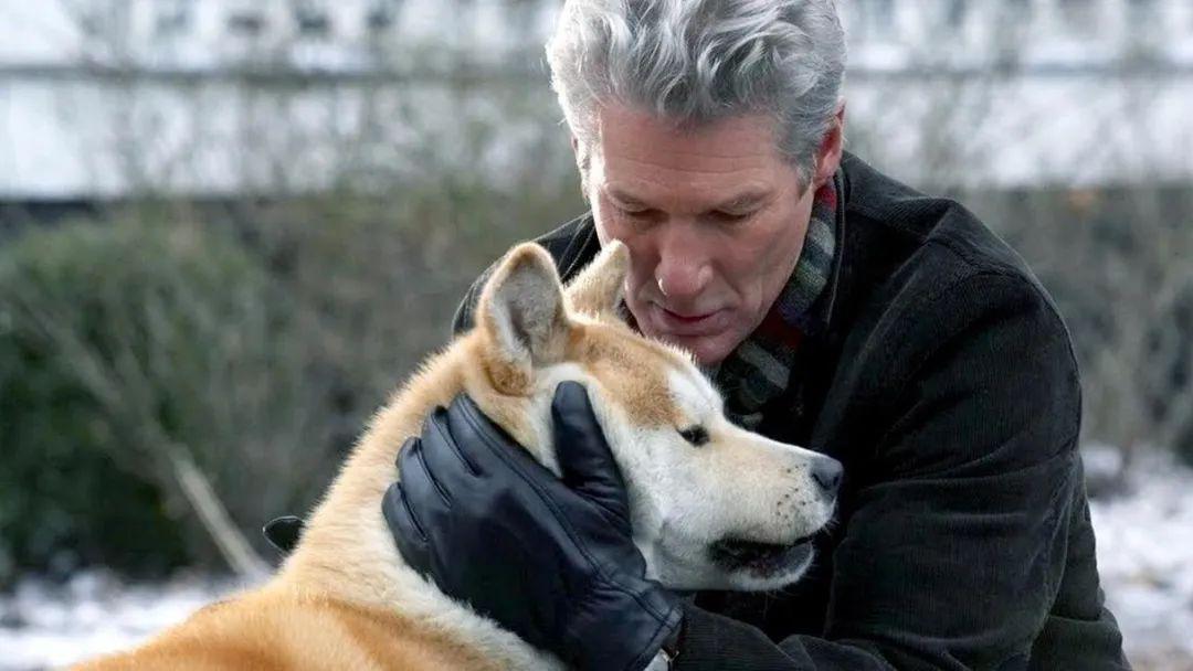 《忠犬八公的故事》:人与动物的深情赞歌 《忠犬八公的故事》是一部让