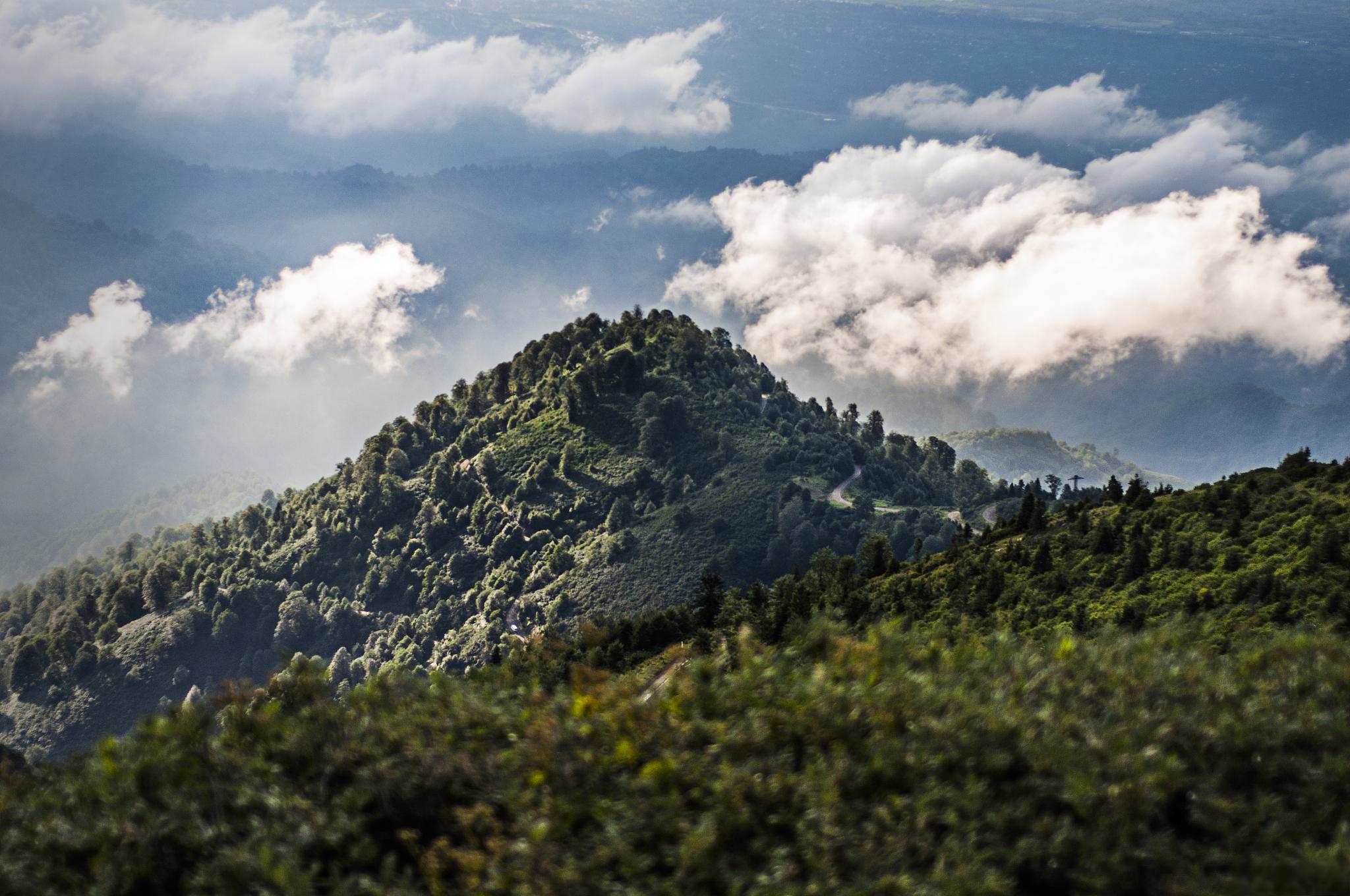 穿越雪峰山,畅游洞口的自然奇观 雪峰山位于贵州省洞口县,是一个自然