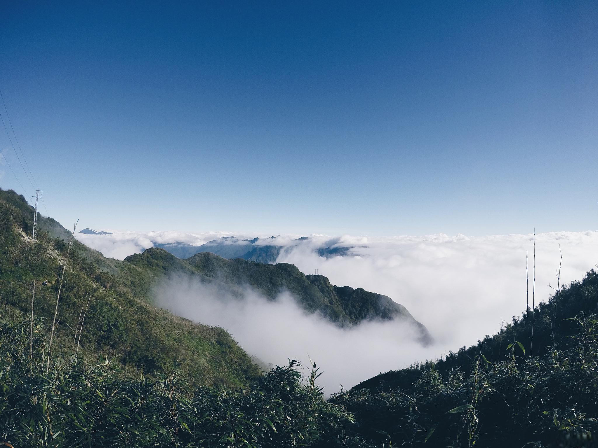 穿越雪峰山,畅游洞口的自然奇观 雪峰山位于贵州省洞口县,是一个自然
