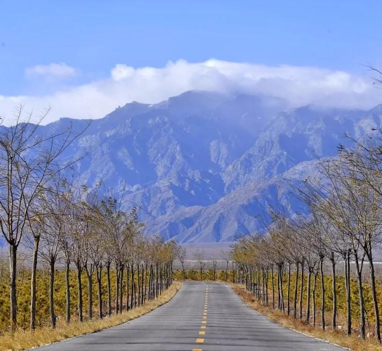 阿拉善左旗旅游攻略 阿拉善左旗位于内蒙古自治区阿拉善盟,拥有丰富的
