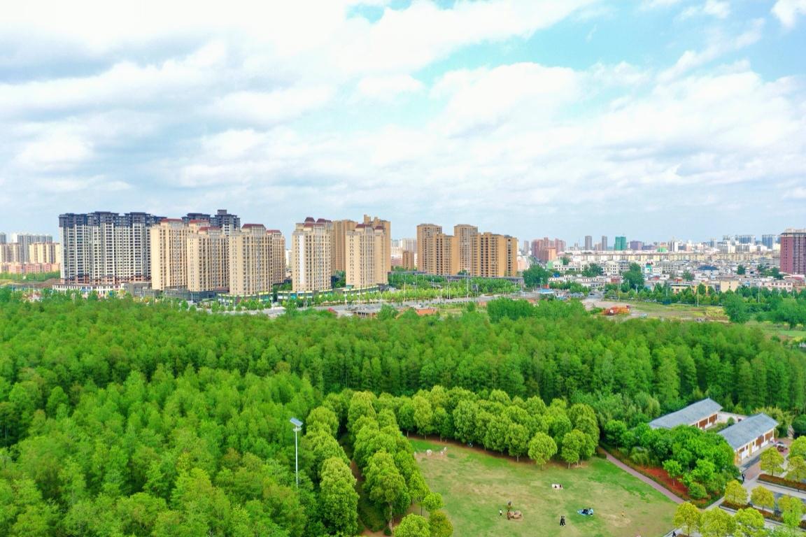 息州森林公园,这座城市的绿色氧.@智游tt仔的动态