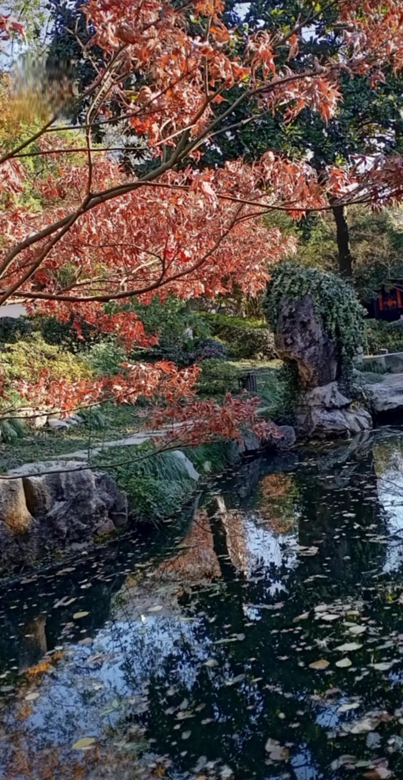 瓶山公园,嘉兴市民休闲娱乐的好去处 瓶山公园位于嘉兴市区中心,是