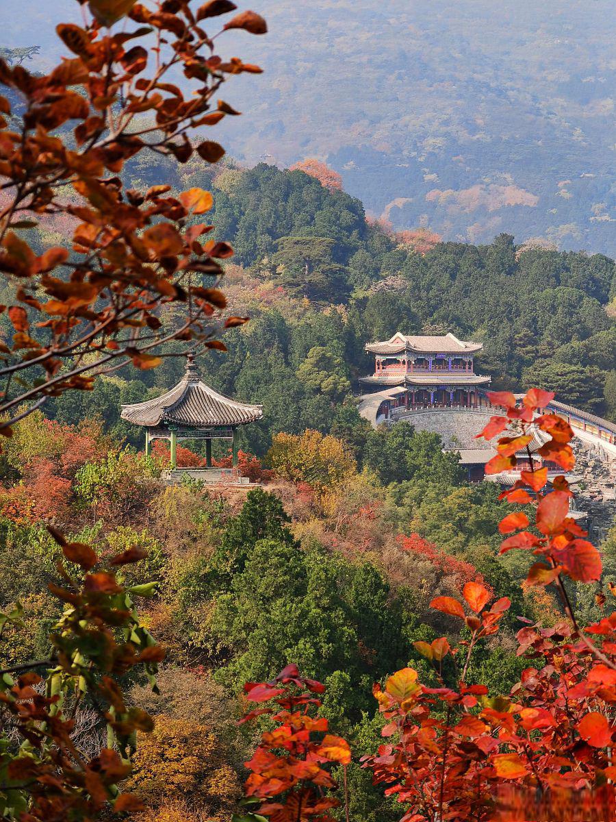 山里红图片 风景图片图片