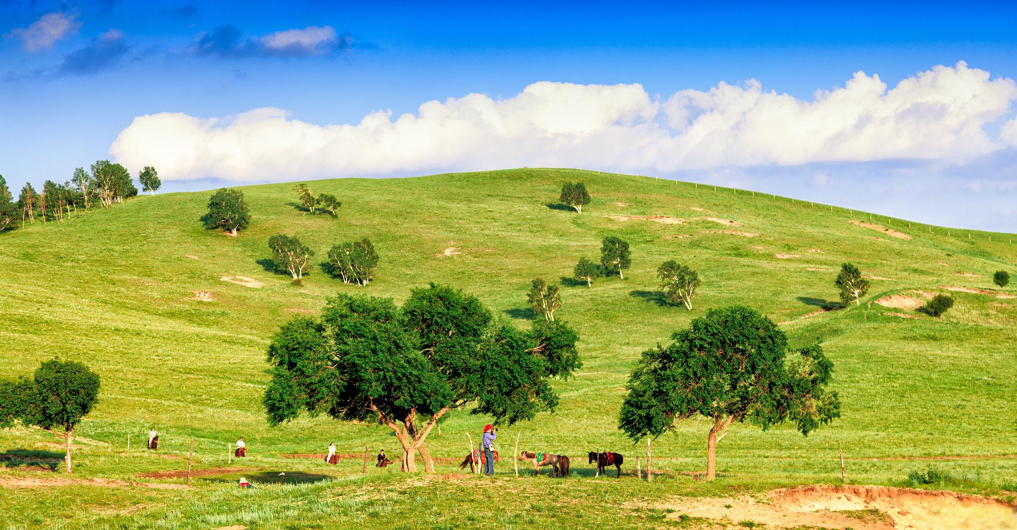 旅游胜地 云上草原,位于中国浙江省杭州市桐庐县,是一个以高山草甸