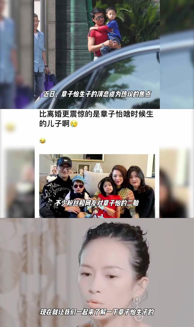 章子怡儿子 二胎图片