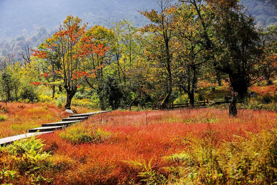 黑竹沟景区图片