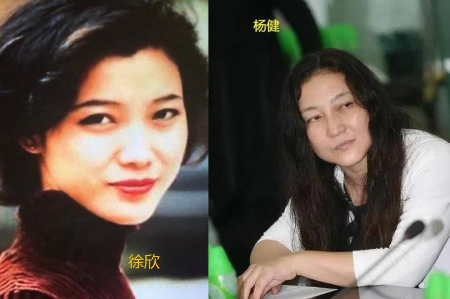 柳云龙的夫人徐欣照片图片