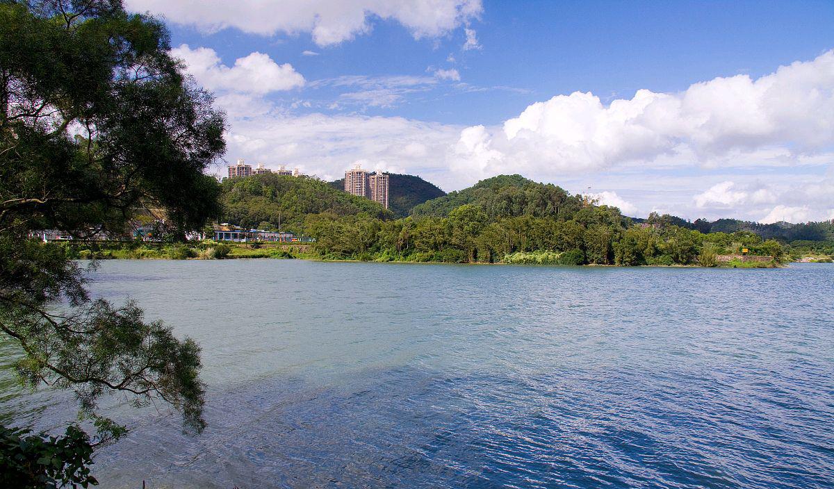 慈溪横河梅湖水库:一个充满生机与活力的自然景观 慈溪横河梅湖水库