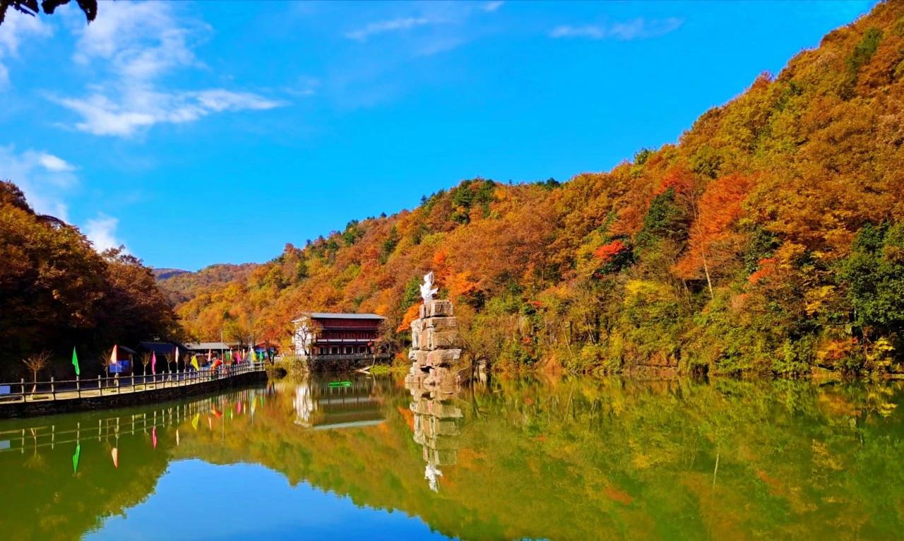 难老,岁岁重阳又重阳,又快到一年一度的重阳节了,重阳节又称"老年节"