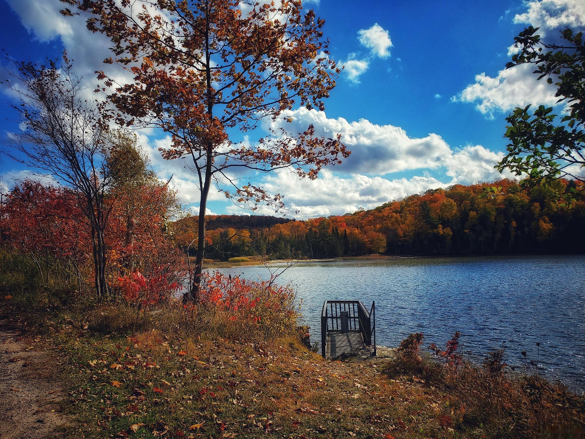 国外秋游攻略 秋天是国外旅游的绝佳时机,不仅可以逃离炎热的夏季
