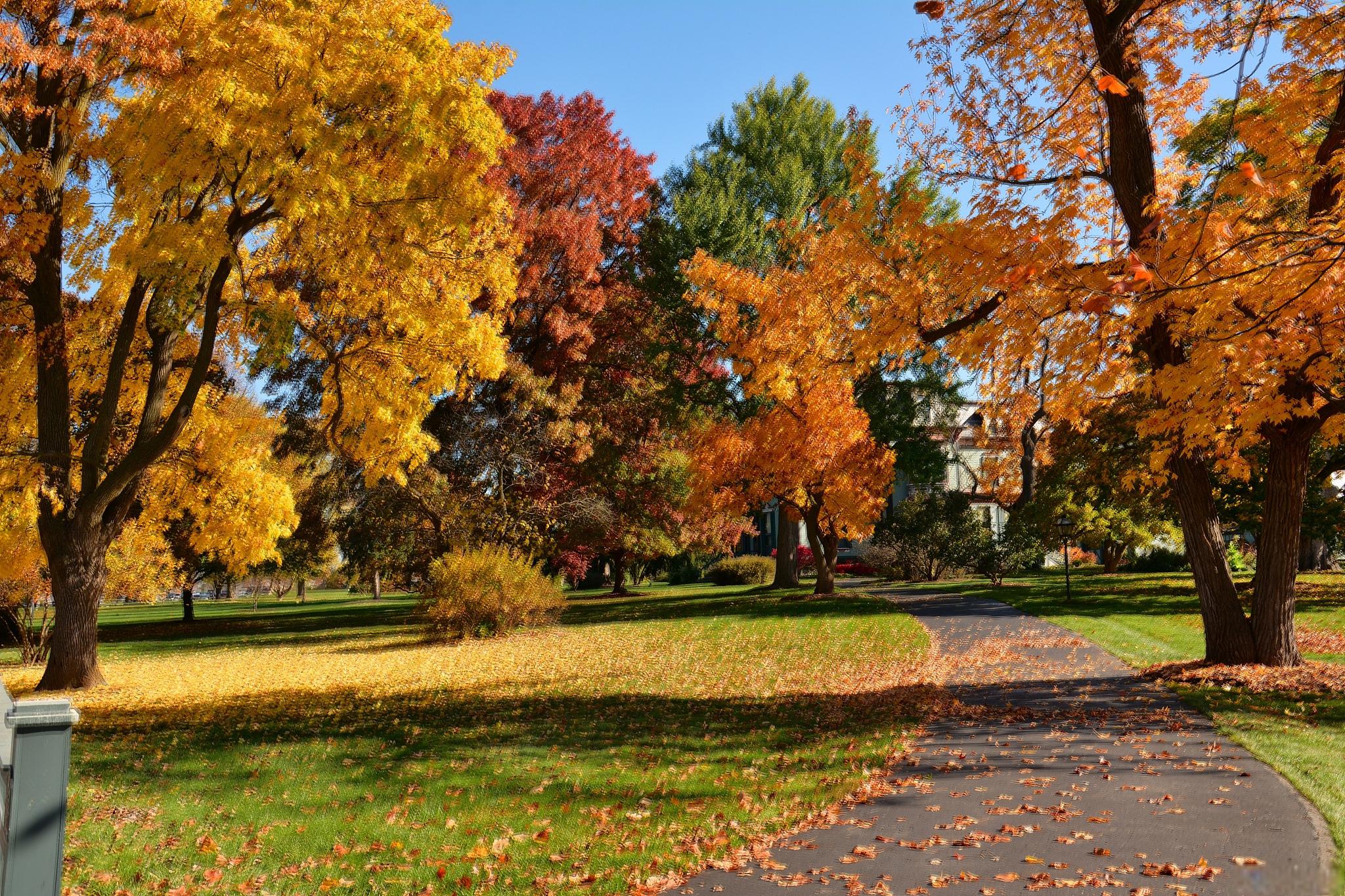 国外秋游攻略 秋天是国外旅游的绝佳时机,不仅可以逃离炎热的夏季