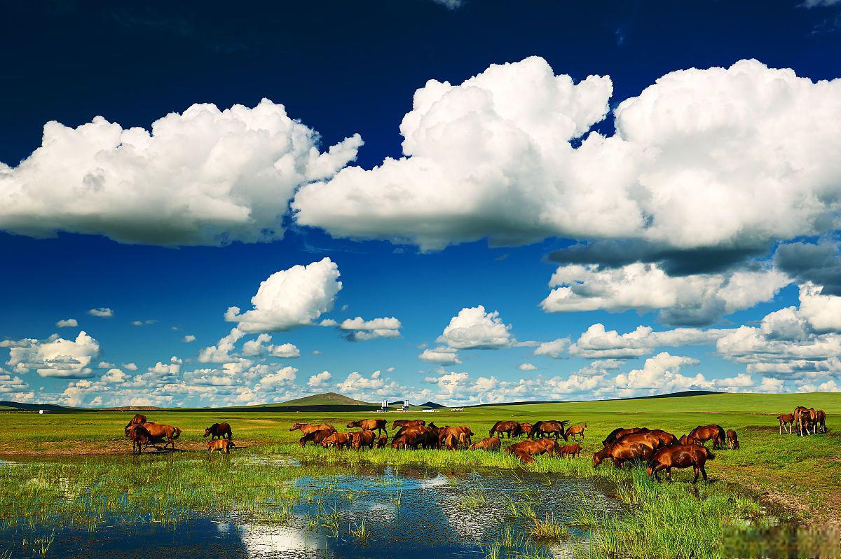呼伦贝尔大草原是中国内蒙古自治区著名的旅游景点,以其广袤的草原