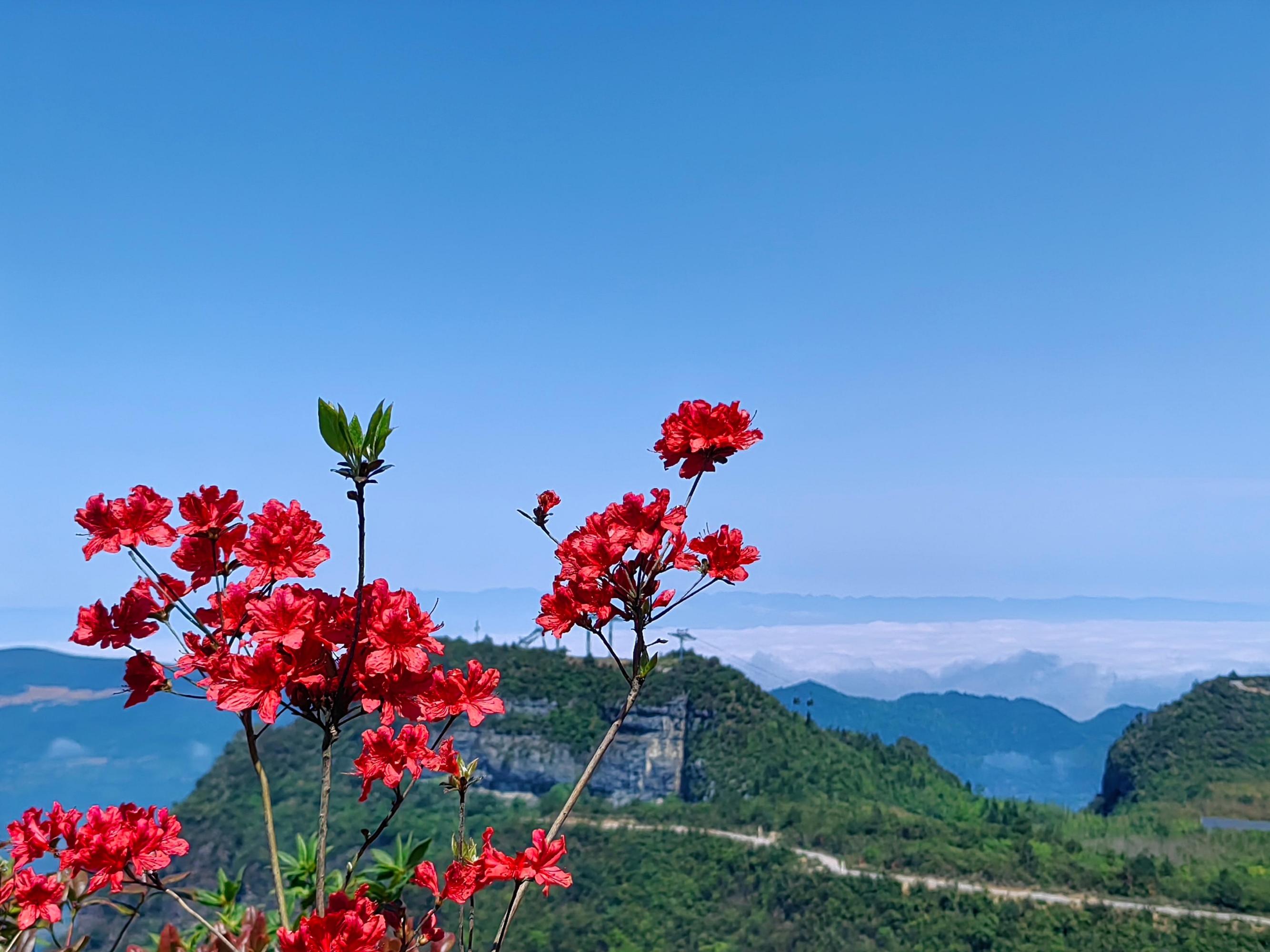 重庆市秀山县风景图片