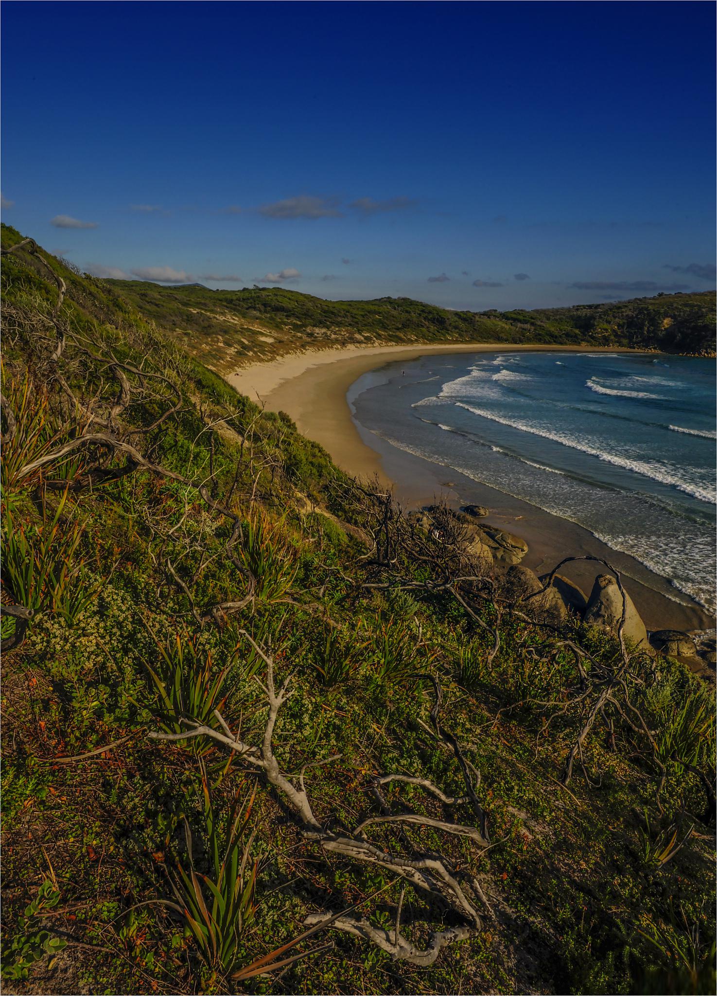 自然,历史,生态与旅游 维多利亚海岸位于澳大利亚的东南部,以其壮观的