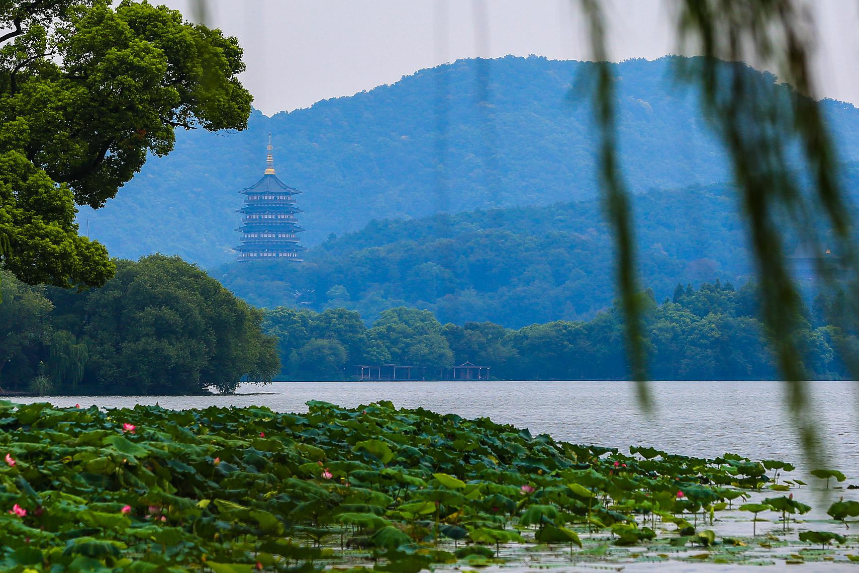 杭州最美风景图片图片