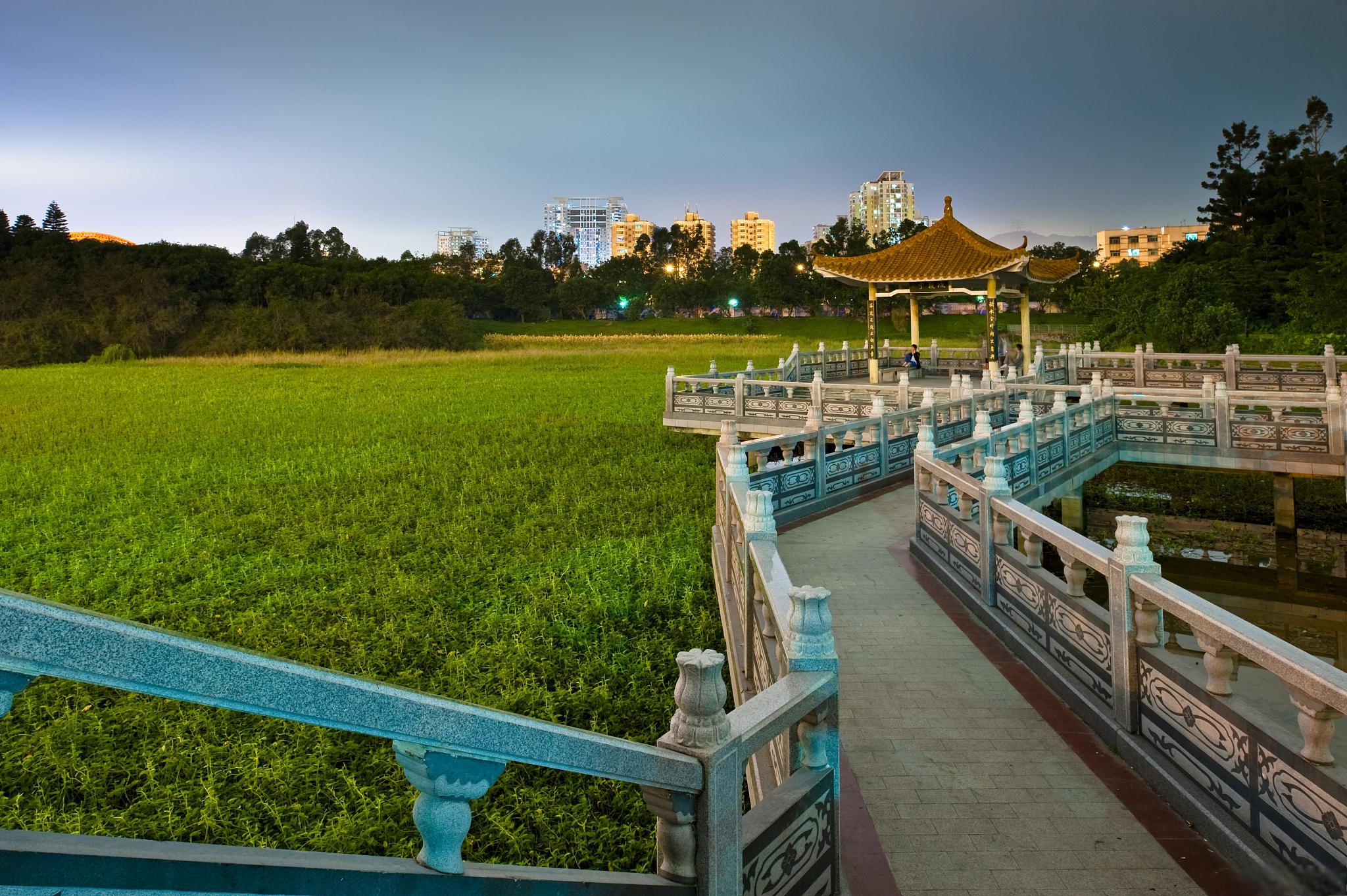 深圳石岩附近免费景点图片