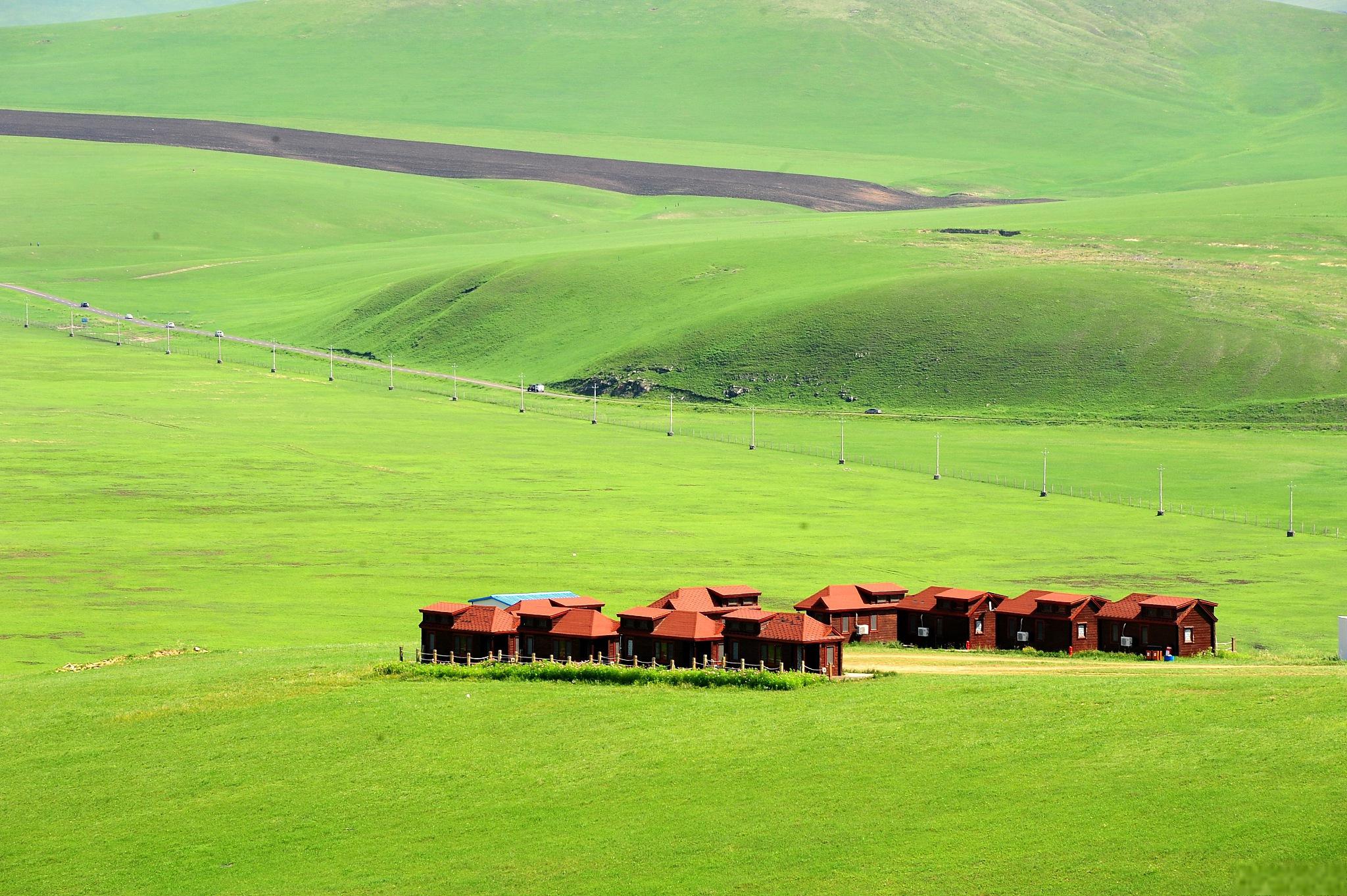 塞罕坝位于中国河北省承德市,是中国最大的人工林和草原