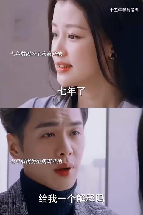 《十五年等待候鸟》黎璃的痛苦:七年的等待与无法言说的痛 "十五年的