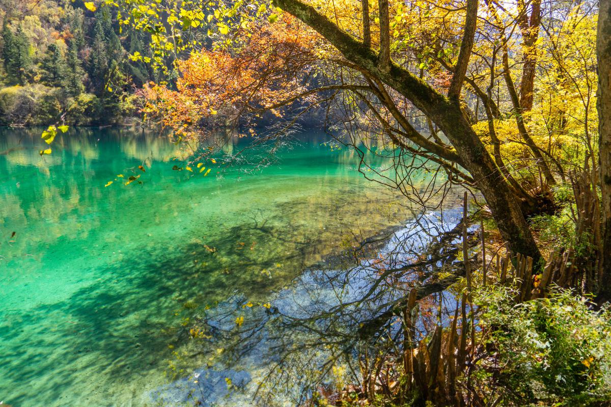 九寨沟四季美景 九寨沟是一处四季皆宜的旅游胜地,每个季节都有其独特