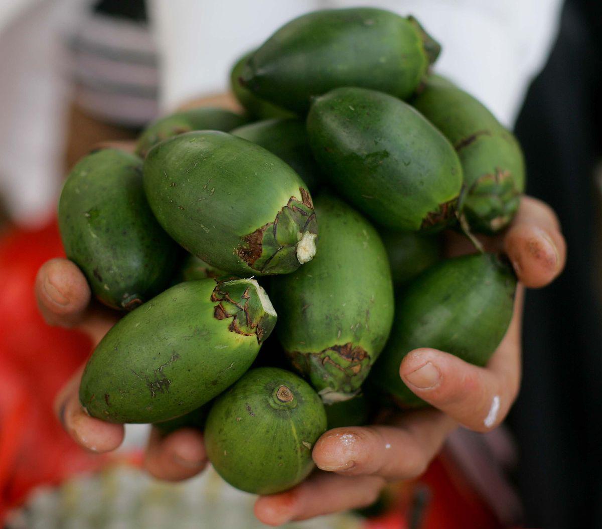 缅甸槟榔进口代理 缅甸槟榔进口需要办理食品收发货人备案,提供货物