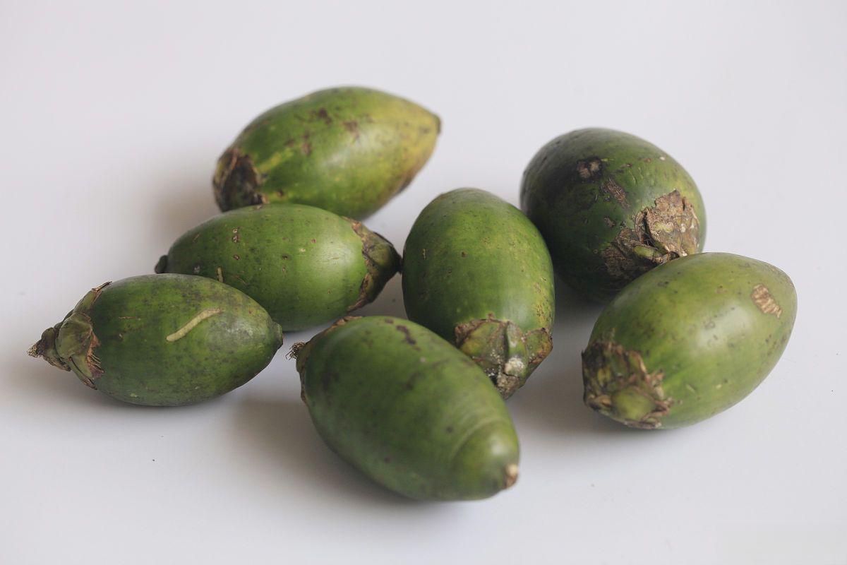 缅甸槟榔进口代理 缅甸槟榔进口需要办理食品收发货人备案,提供货物