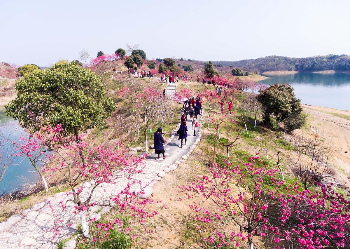 桃花岭景区图片