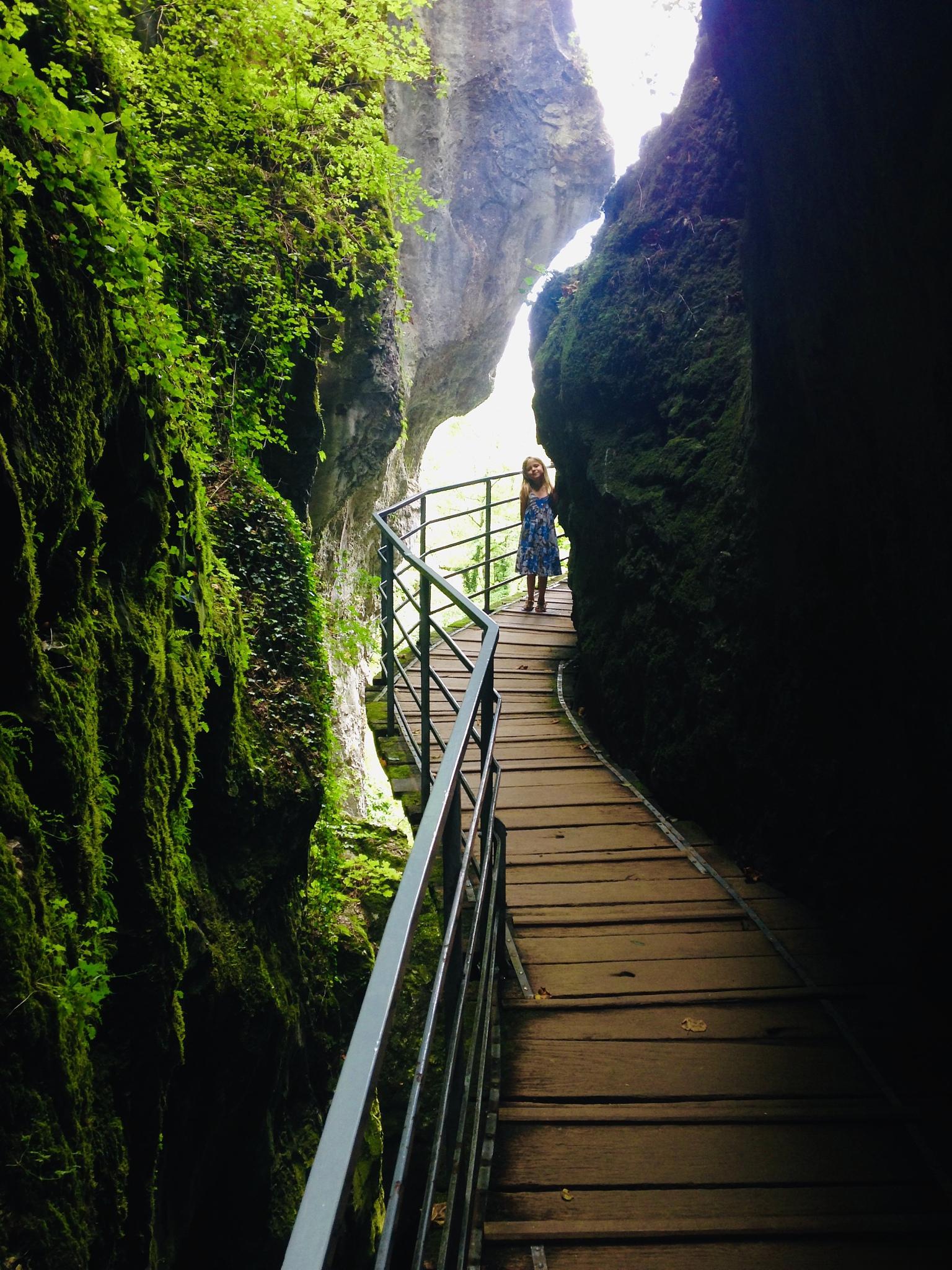 大明山风景区图片图片