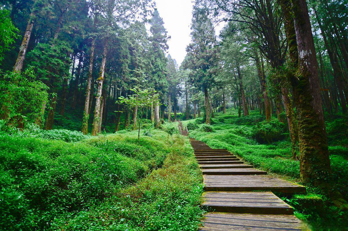 一片隐匿于山林中的世外桃源 中坝森林位于彭州市中坝镇境内,距离成都