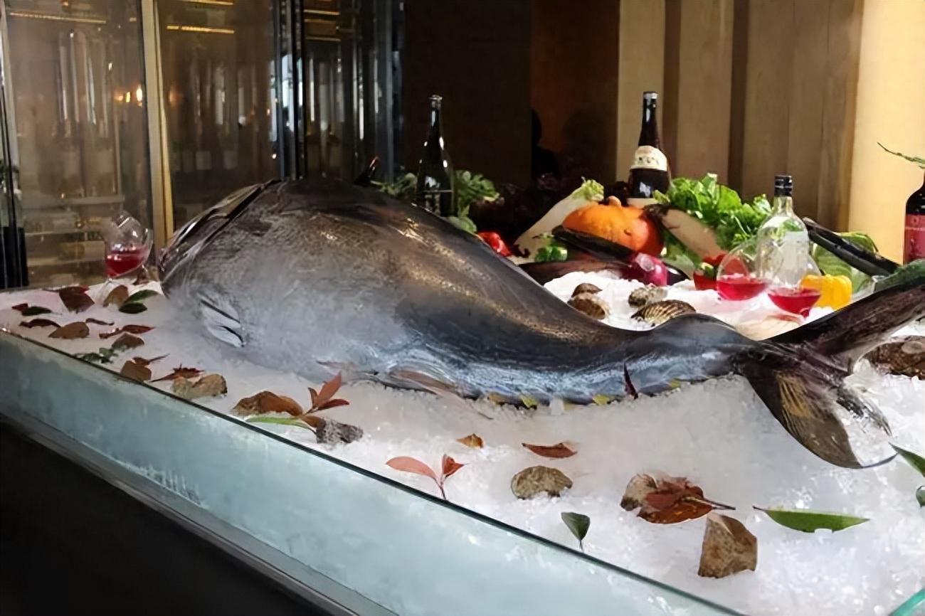 金枪鱼价格暴跌24% 金枪鱼价格在某一天内暴跌了24%,连日本人自己都