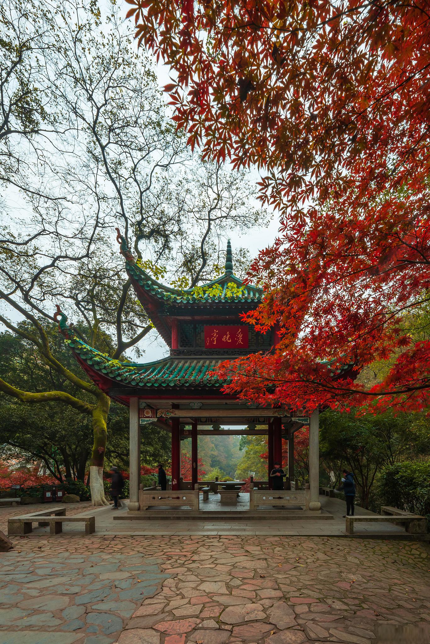 长沙市内风景图片图片