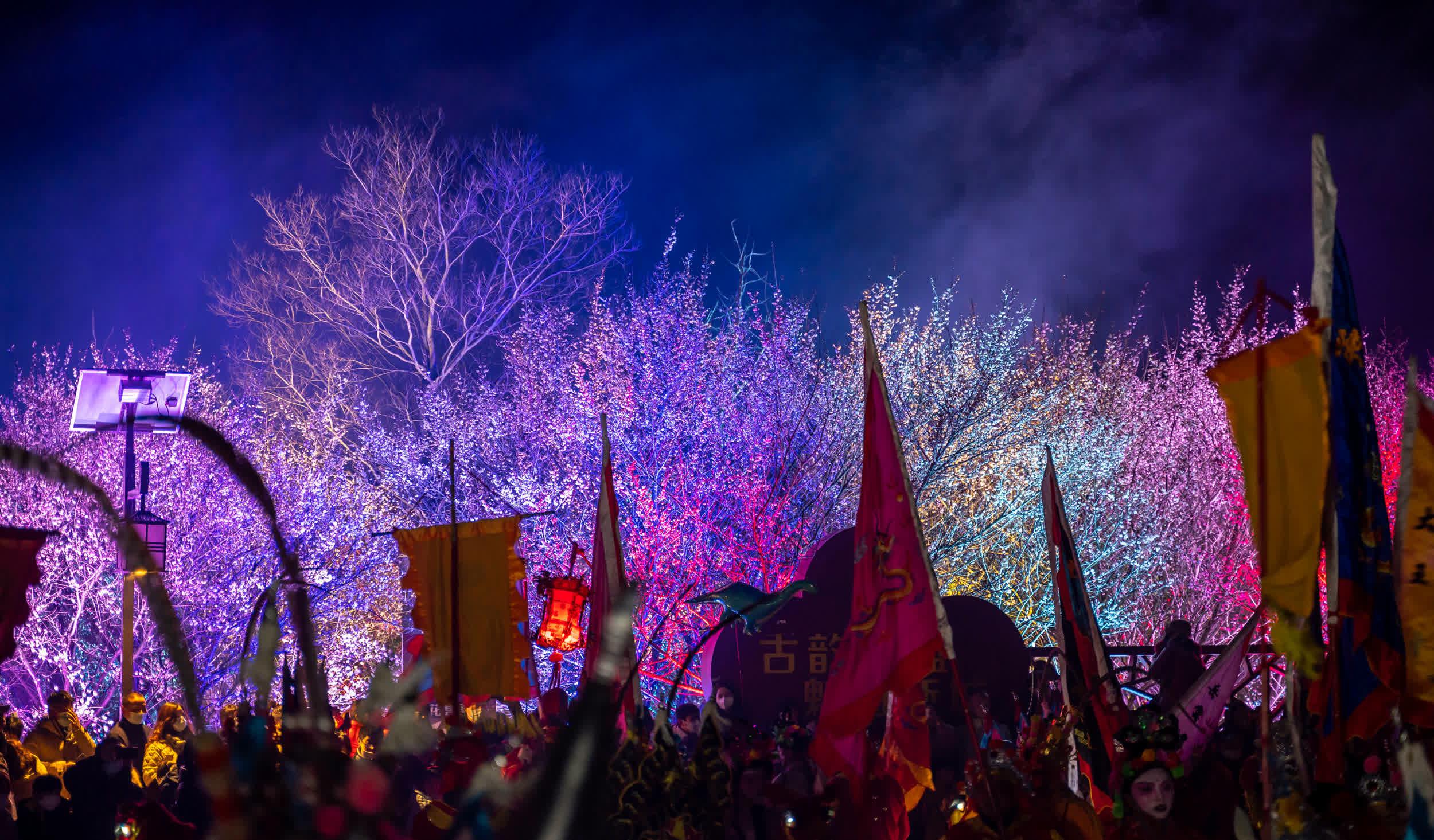 南京溧水傅家边梅花节图片