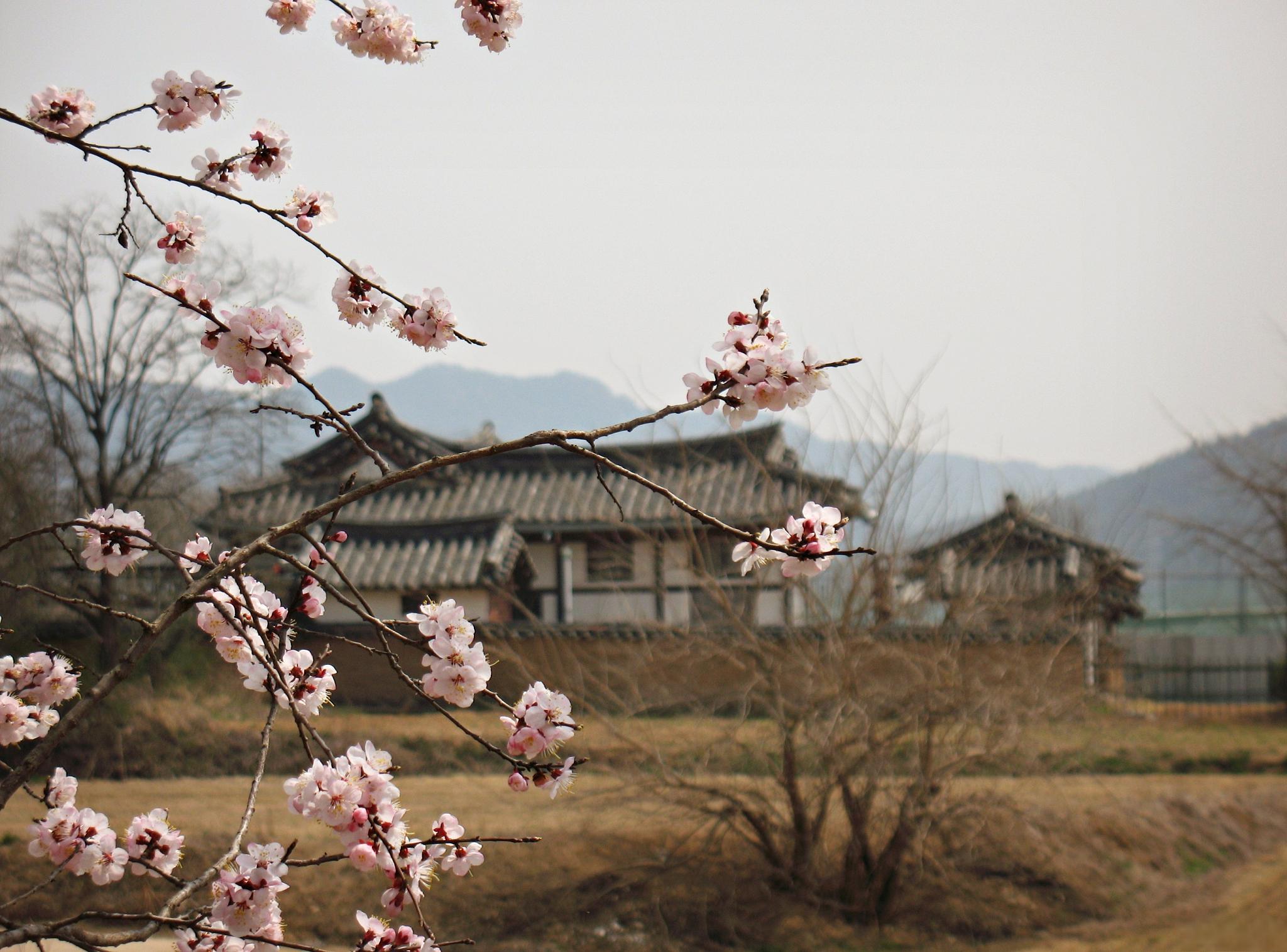 湖州西塞山风景区旅游图片