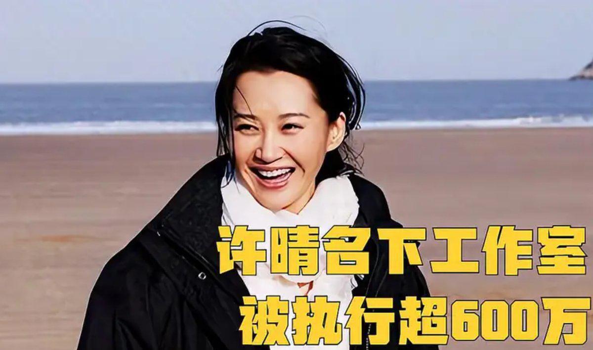 许晴独资工作室被执行624万元 许晴名下企业东阳仓果影视文化工作室