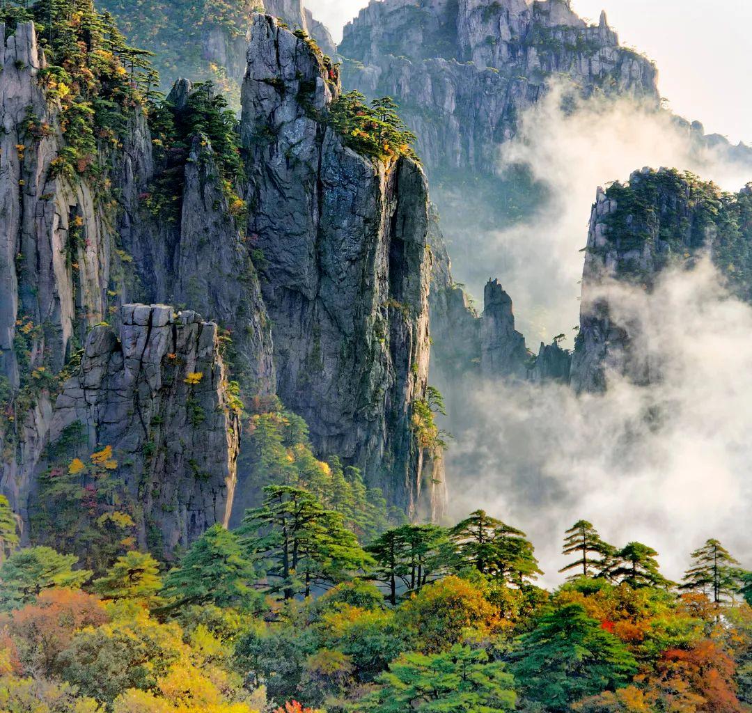黄山秋景,美不胜收 黄山的秋,是世间难得的美丽景色.