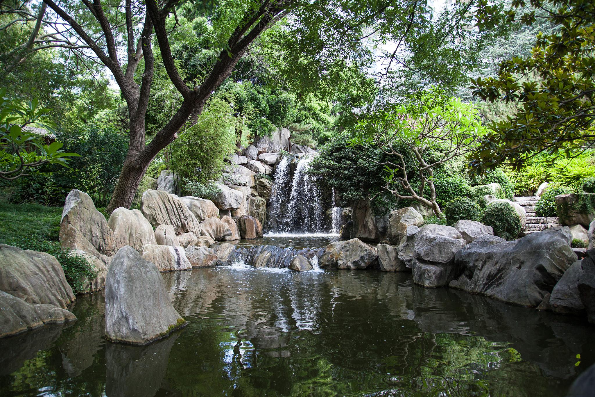 秋天的杭州植物园 秋天的杭州植物园,的确是一幅美丽的画卷.