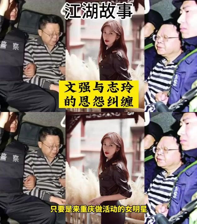 文强与林志玲的恩怨纠缠 文强这个在重庆呼风唤雨的人物,对女明星有着