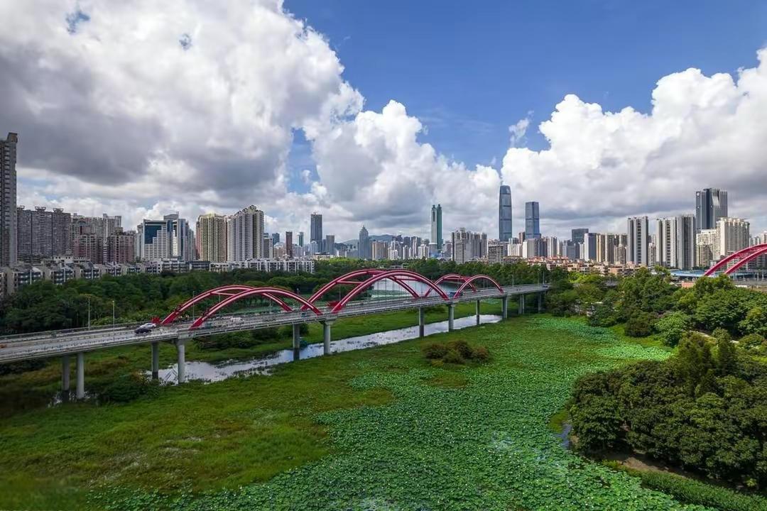 深圳千园之城图片