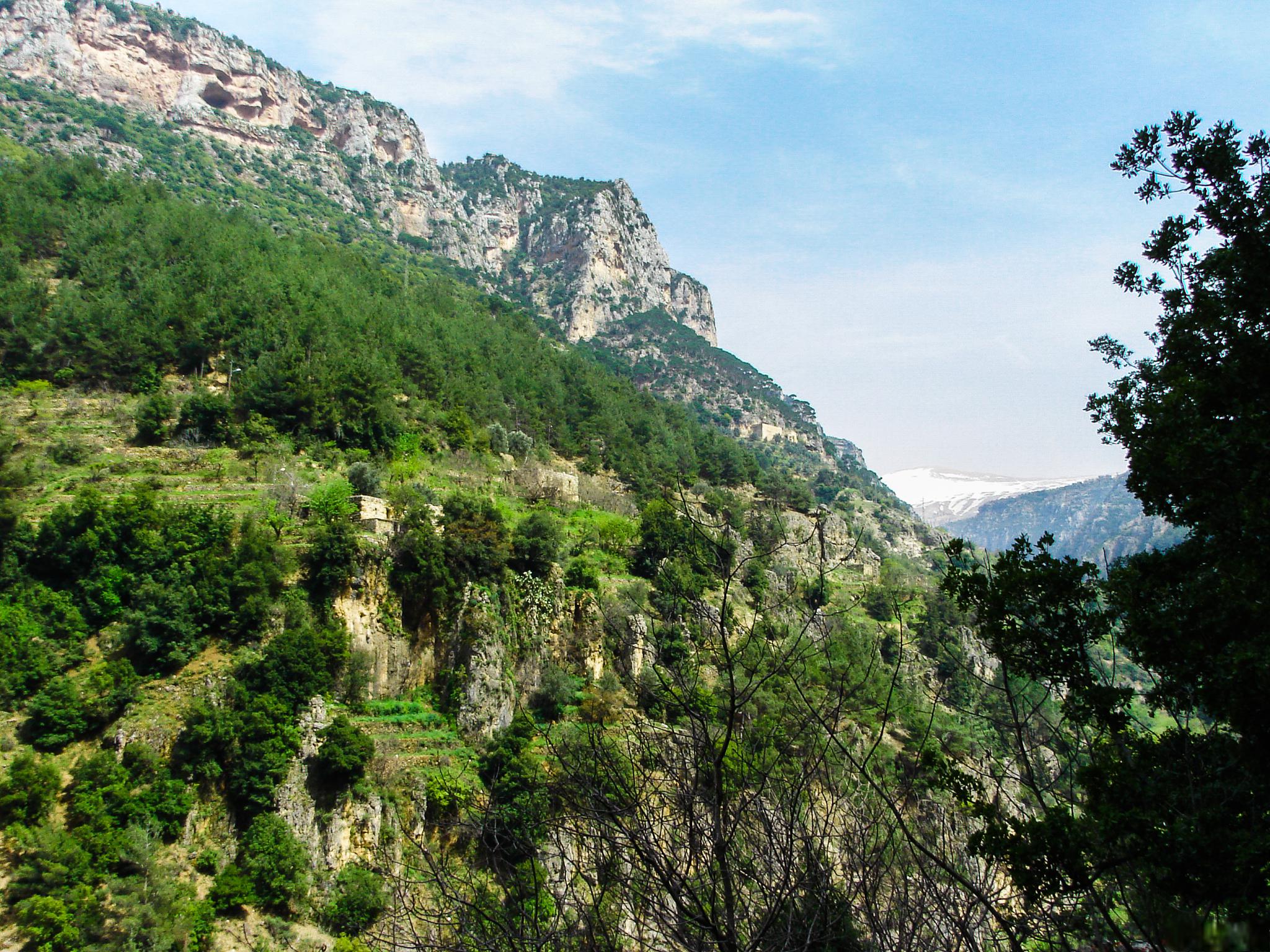 探索枣庄杨峪风景区 在中国的山东省,有一个被群山环抱,风景如画的