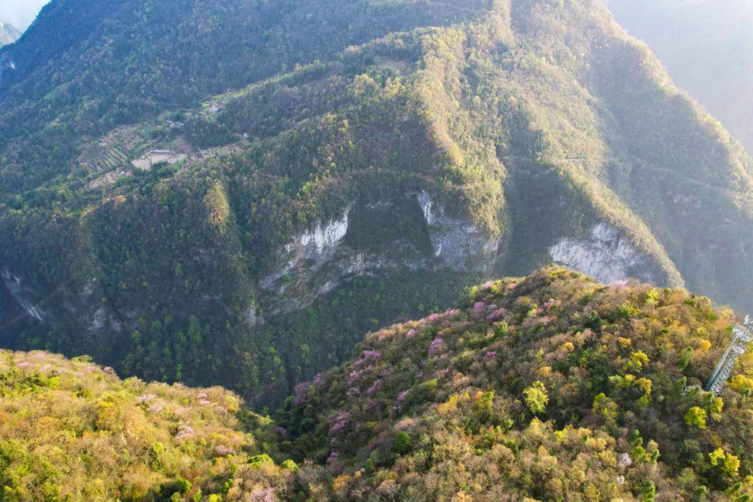 茅坪村图片