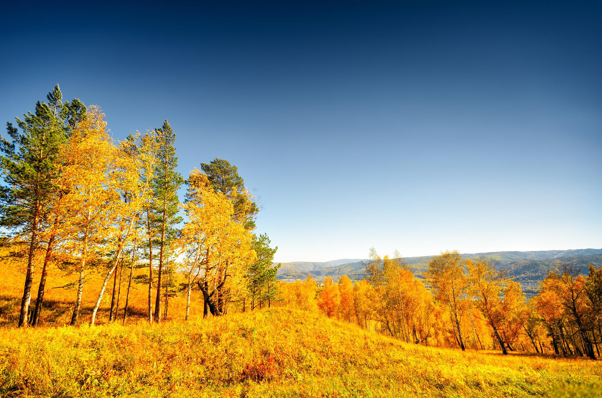 秋日微风,感受大自然的美丽和独特魅力 秋天,那是一幅温暖的画卷,微风