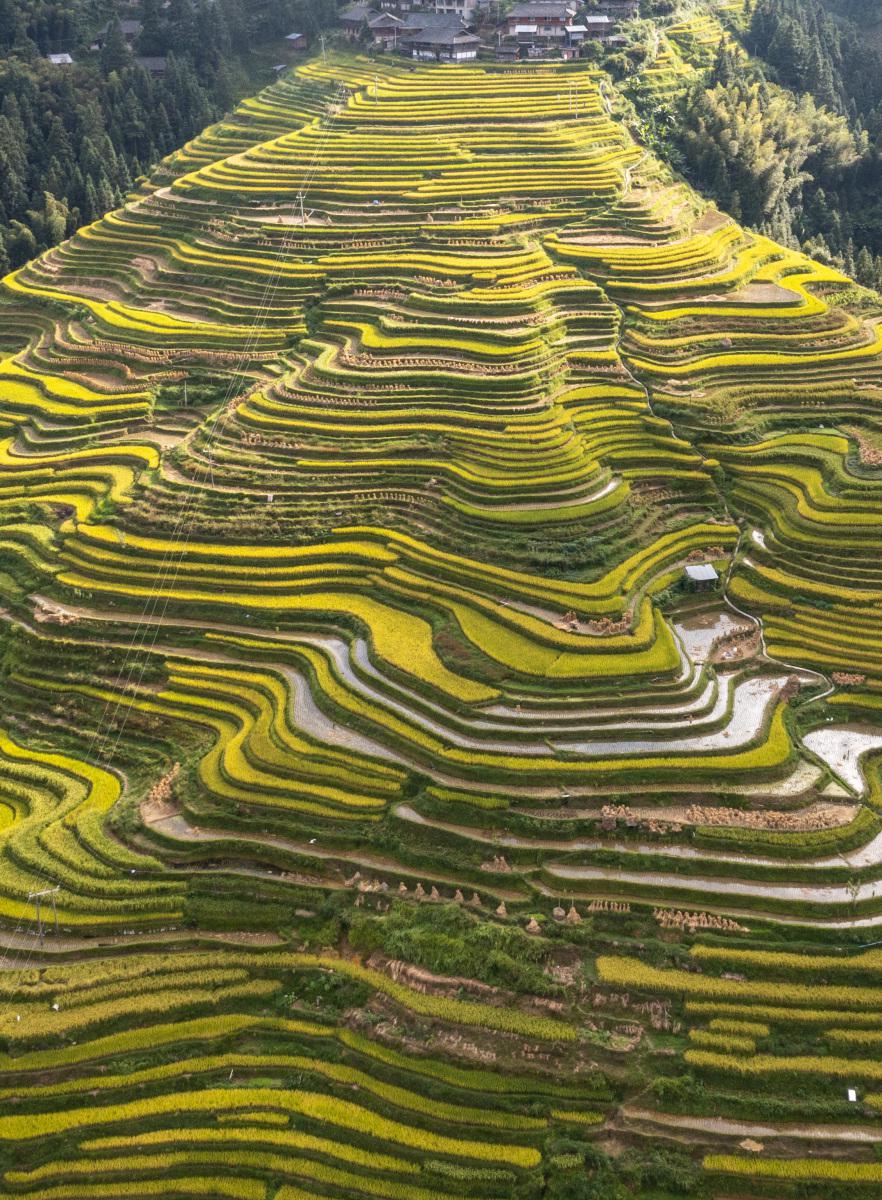 龙胜梯田最佳旅游时间 龙胜梯田位于中国广西壮族自治区桂林市龙胜各