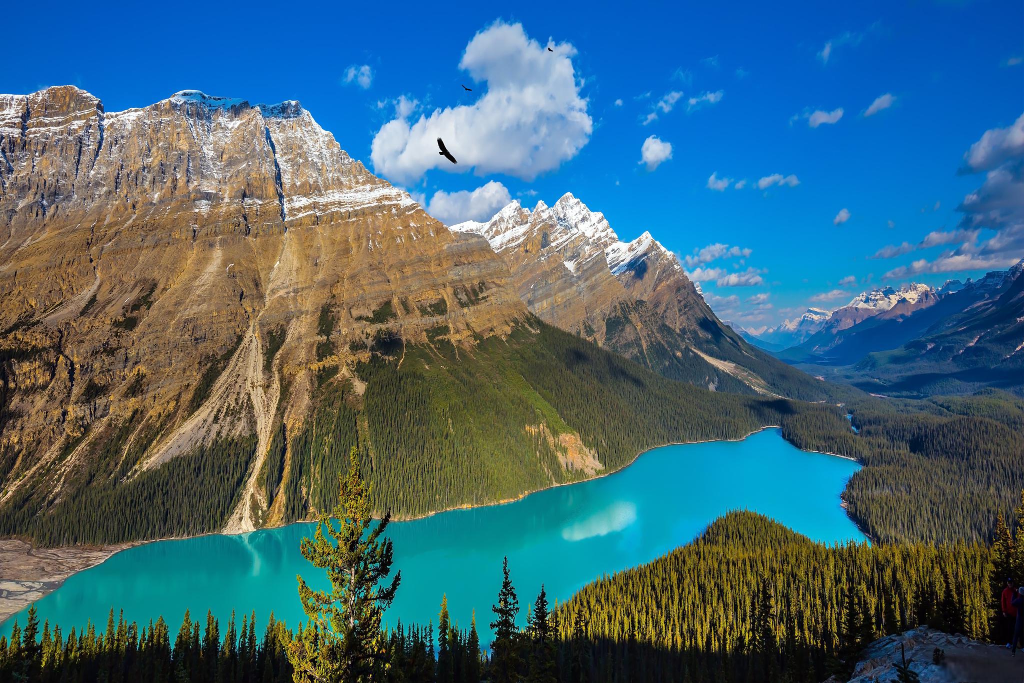 加拿大旅游路线攻略 欢迎来到加拿大!