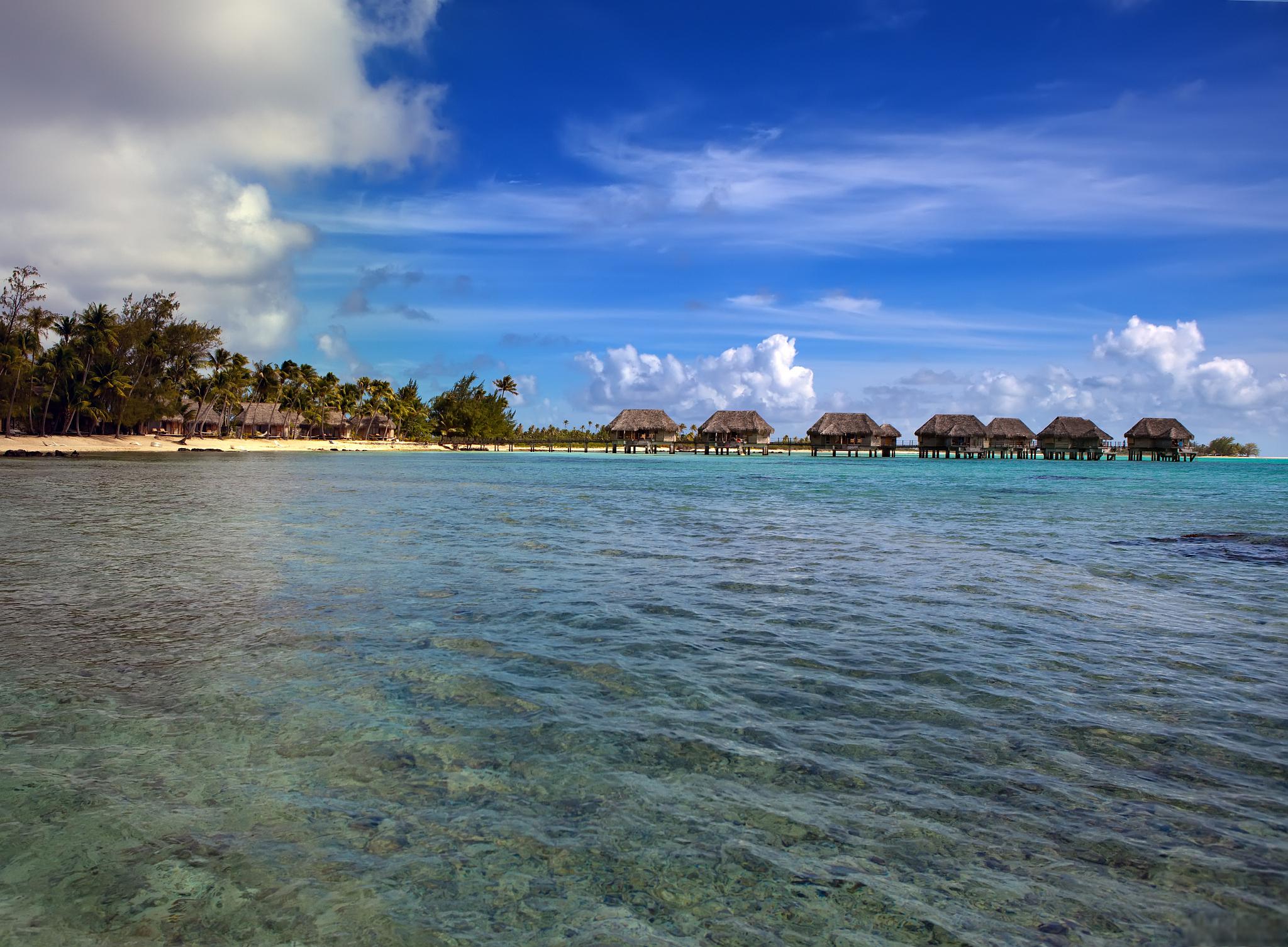 斯里兰卡,印度洋上的宝石 斯里兰卡,一个被誉为印度洋上的宝石的国家